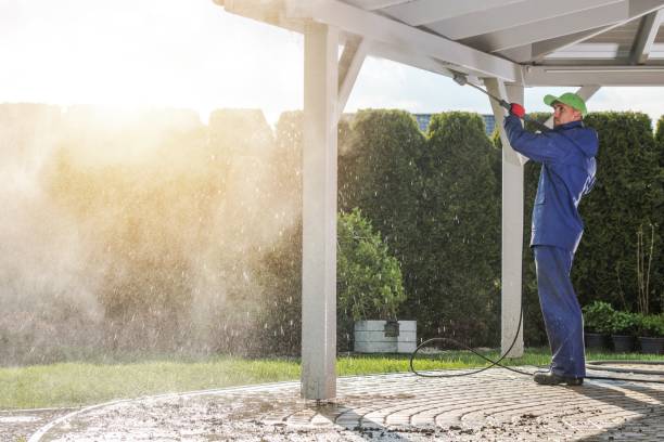 Best Animal Enclosure Cleaning  in Mount Plymouth, FL